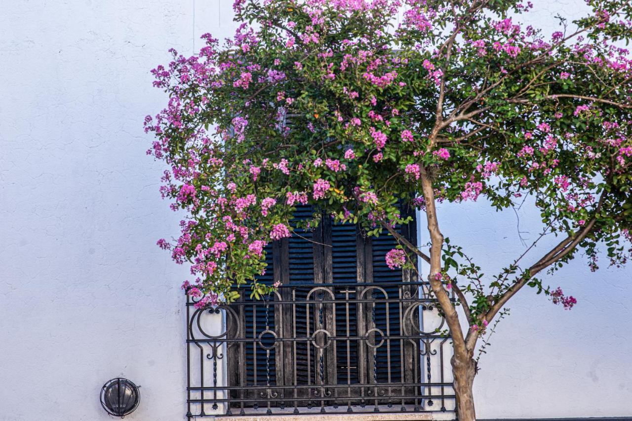 Hostel El Puesto San Antonio de Areco Zewnętrze zdjęcie